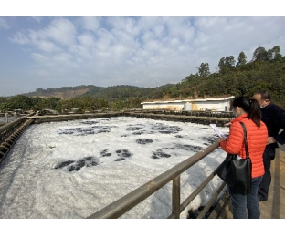 復(fù)合碳源與總氮降解劑在電鍍廢水中的應(yīng)用—庫(kù)巴魯