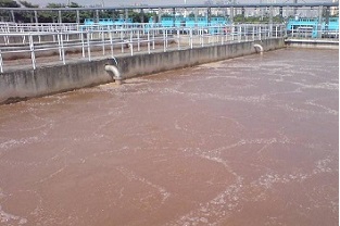 氨氮在生化過(guò)程中的去除