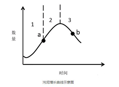 活性污泥增長(zhǎng)曲線示意圖