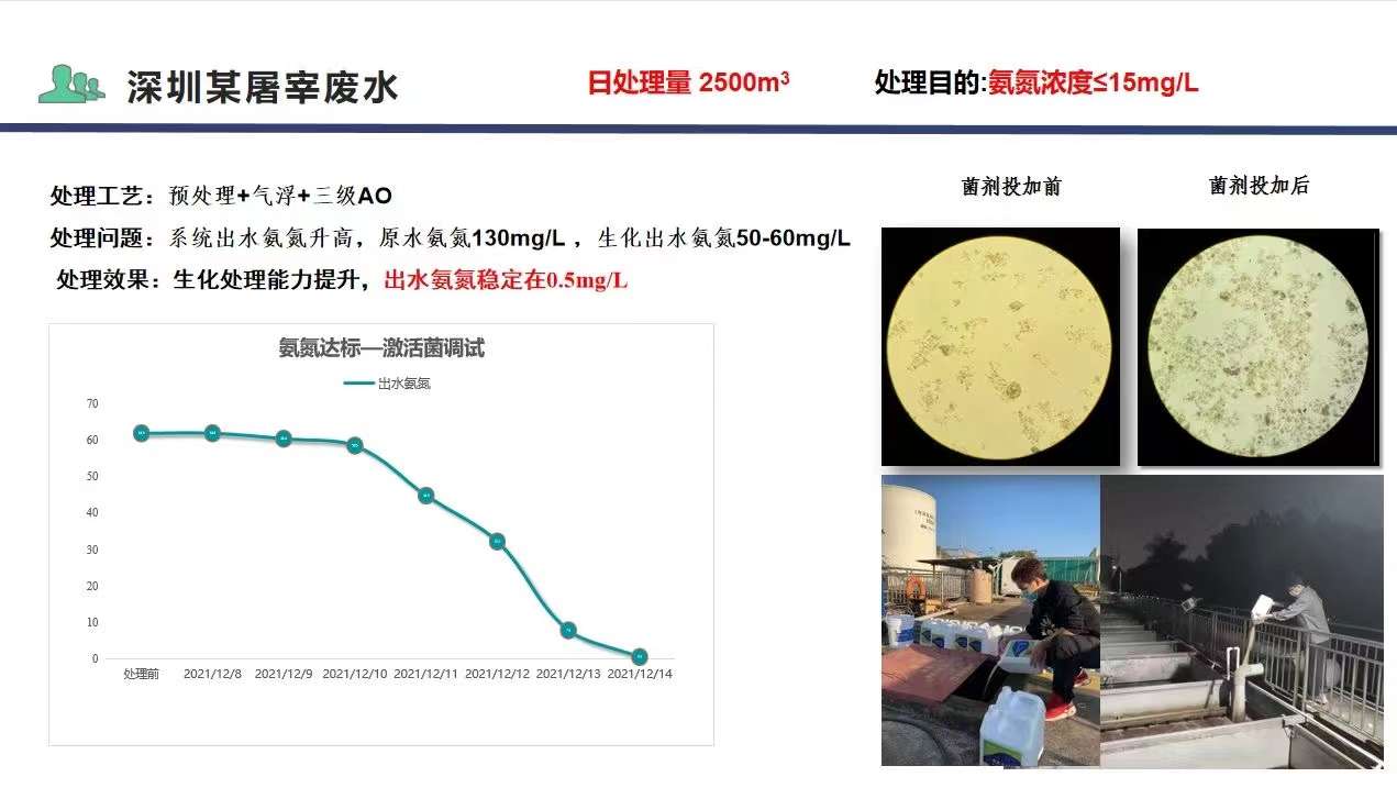 低溫微生物激活菌