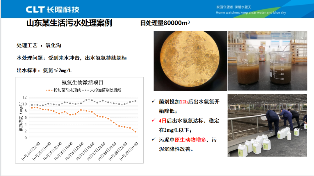 氨氮激活菌202應用案例